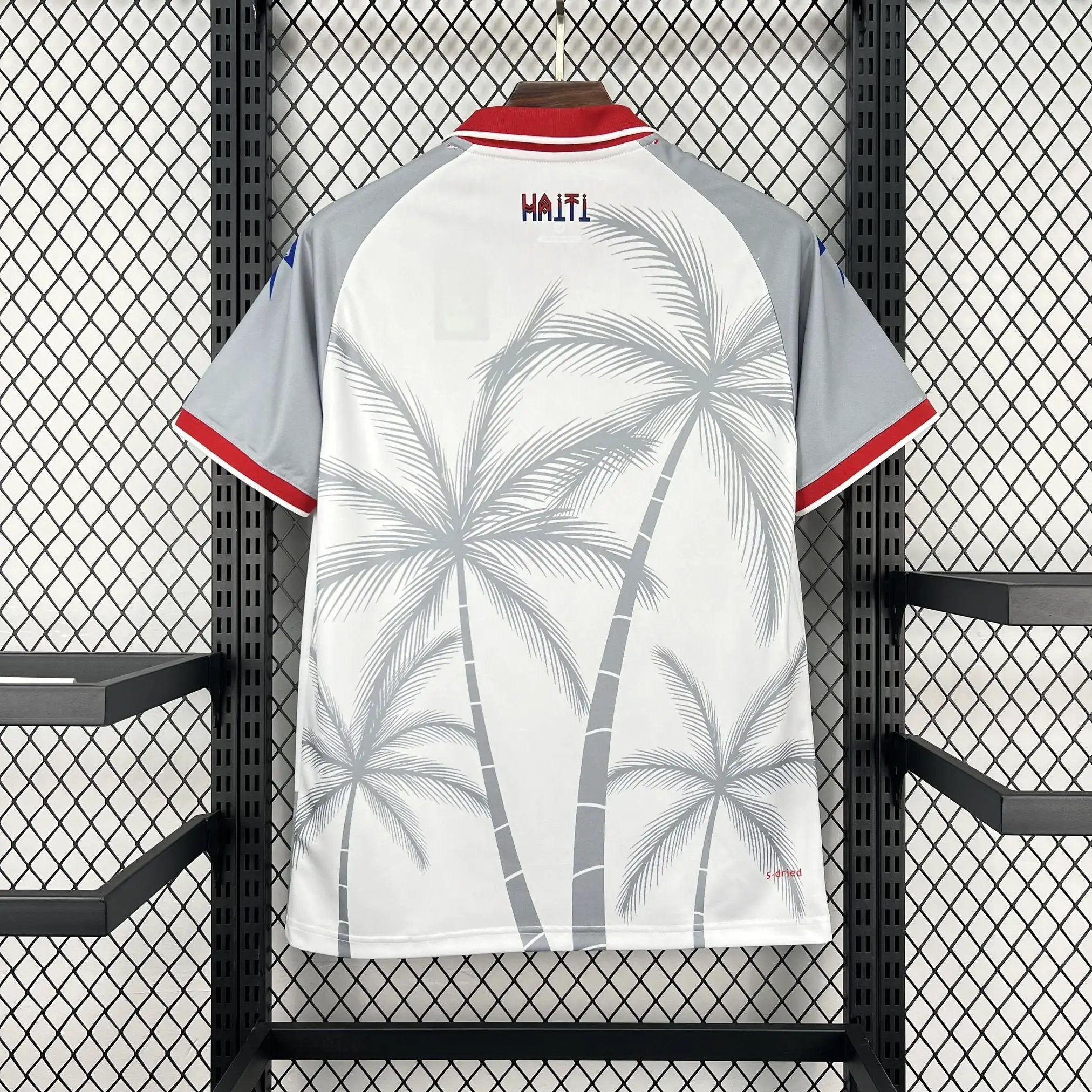 BOOTS SUPPLY Haiti 2026 Away Kit - Jersey